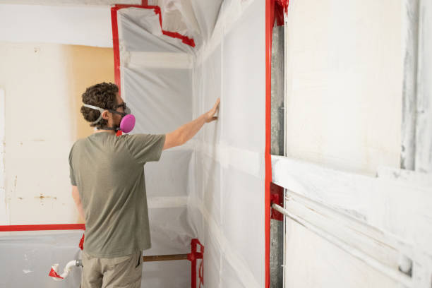 Best Residential Mold Inspection & Testing  in Rancho Palos Verdes, CA